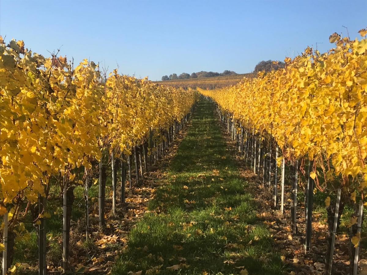 Weingut & Gastezimmer Edelmann Göttlesbrunn Exterior foto