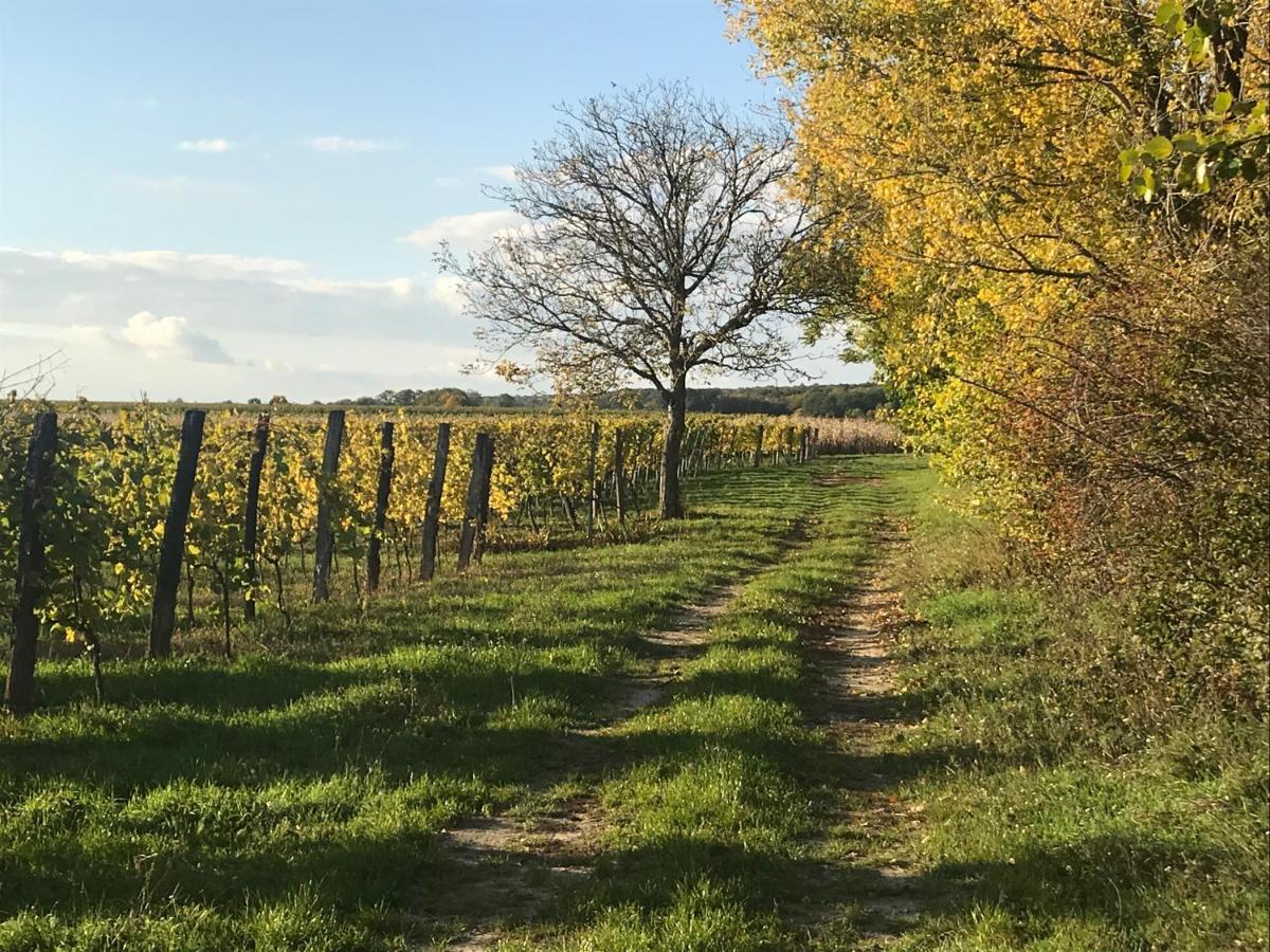 Weingut & Gastezimmer Edelmann Göttlesbrunn Exterior foto